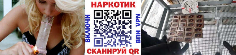 Цена Ногинск СК  Меф  Псилоцибиновые грибы  Кокаин 