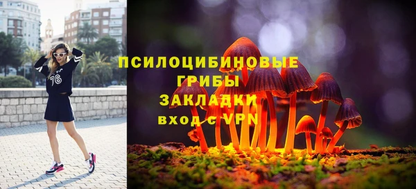 spice Баксан