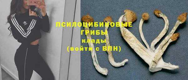 spice Баксан