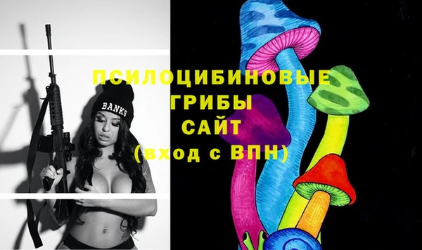 spice Баксан