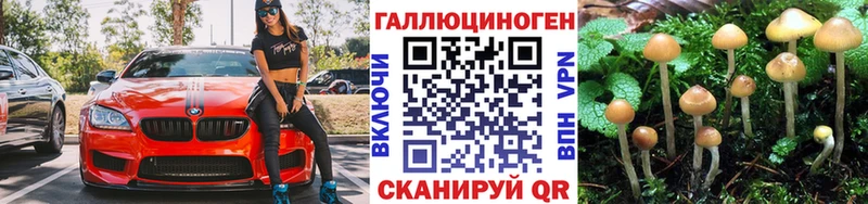 KRAKEN как зайти купить наркотик Ногинск Галлюциногенные грибы ЛСД
