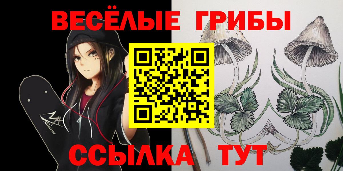 Галлюциногенные грибы мицелий  Вход с VPN  Ногинск 