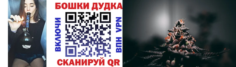 Бошки Шишки сатива  kraken сайт  Ногинск  как найти закладки 